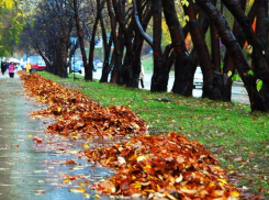 Октябрь принес Волгодонску холодную и пасмурную погоду 