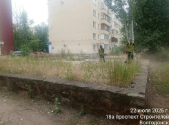 Траву покосили, мусор убрали: коммунальщики привели в порядок территорию за сквером «Казак»