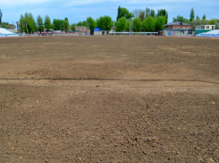 В Волгодонске на стадионе «Труд» заложили «черноземный» газон