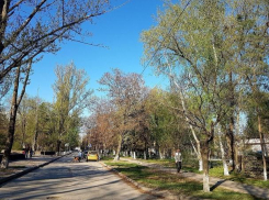 В субботу в Волгодонске столбик термометра вплотную подберётся к +30 