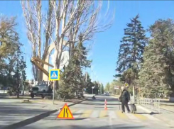 Обрезают ветки: дорогу перекрыли на улице Ленина возле парка «Победы»