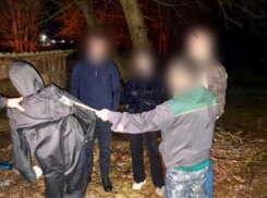 В Потапове головоруб попытался убить соседа: тихий хутор превращается в центр душегубства