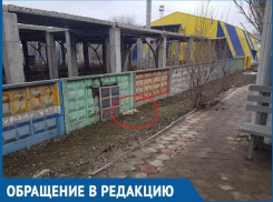 Две недели труп собаки лежит за остановкой, а никому нет до этого дела, - волгодонец возмущен безответственностью коммунальных служб