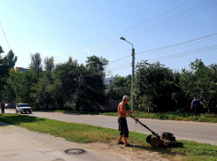 Власти города призывают волгодонцев подключиться к уборке города 