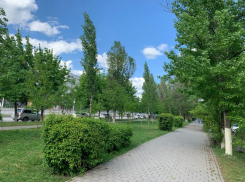 На смену дождям в Волгодонск пришло тепло