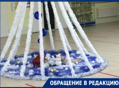 «Хочется хоть какой-то радости для детей»: родителей удивила елка в Романовской школе