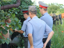 Обворовывавших дачи рецидивистов задержали полицейские Волгодонска