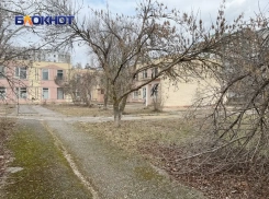 Никто в «Теремке» не живет: здание бывшего детского дома и детсада Волгодонска останется брошенным до 2029 года