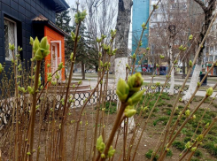 Переменная облачность и отсутствие ветра ждут волгодонцев сегодня