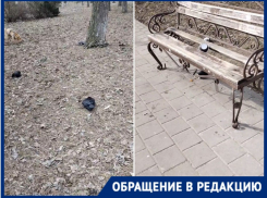 «Мертвые вороны, мусор и сломанные лавочки»: волгодонцы показали сквер «Семьи, любви и верности» 