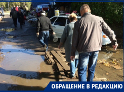 Волгодонцы сравнили дорогу к центральному рынку со знаменитой басней про баранов