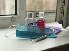   Заболеваемость ОРВИ в Волгодонске выросла на треть, но все равно остается низкой