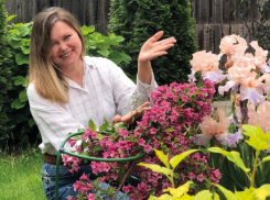 Июль: пора делить и размножать ирисы