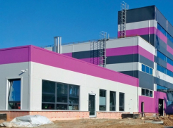 К заводу «Донбиотех» в Волгодонске подобралось тамбовское банкротство 