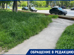 «Почему не сделать все вовремя?»: волгодонцы пожаловались на высокие заросли травы 