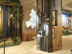 Торги на 243 миллиона рублей для реконструкции музея в Волгодонске прошли повторно 