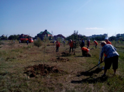 Волгодонцы очистили от  мусора набережную