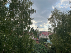 Капризной будет погода в День благодарности