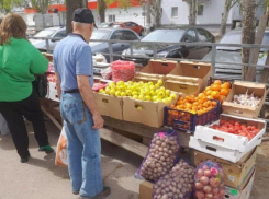 Порядка 700 килограммов овощей было уничтожено в Волгодонске из-за высокого содержания нитратов