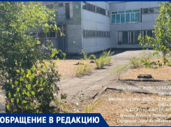 Шприцы и бульбуляторы покрывают «Юнону»: как легендарная гимназия Волгодонска превратилась в притон для наркоманов