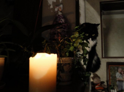 Целый квартал новой части Волгодонска остался без света