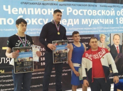 Волгодонцы отличились на областном чемпионате по боксу