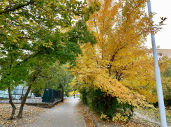 Тепло, но ветрено будет сегодня в Волгодонске