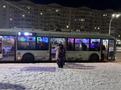 Стоимость проезда в общественном транспорте Волгодонска выросла на Новый год