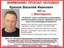  Волгодонец с Пушкиным на плече пропал по дороге в Цимлянск