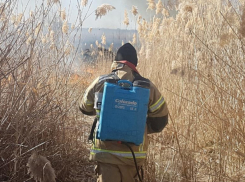 С 1 мая в Волгодонске будет установлен особый противопожарный режим