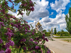 С малооблачной, но жаркой погоды начнется вторая неделя лета в Волгодонске