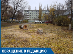 Спилили тополя и вербы, которые мы сажали своими руками, - житель Волгодонска