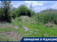 «Вот, куда уходит вода»:  волгодонец обнаружил водопроводную реку у Путепровода  