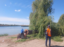 Городской пляж Волгодонска начали приводить в порядок