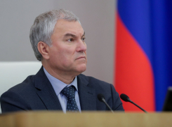 Володин предложил наделить власти регионов правом запрещать работу «наливаек»