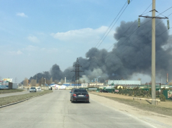 За два месяца в Волгодонске выгорело 14 гектаров сухой растительности