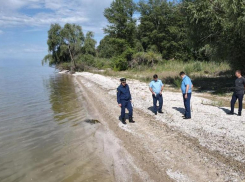 Прокуратура занялась делом массовой гибели рыбы в Цимлянском водохранилище
