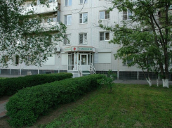 Лечить подобное - подобным: 10 апреля отмечается Всемирный день гомеопатии