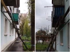 «Сначала на балкон, а потом на людей»: дерево упало в старой части Волгодонска 