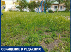 «Почему наша управляющая компания не косит траву?»: волгодончанка 