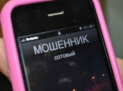 Молодой мошенник поплатился за «развод» пенсионерки из Волгодонска