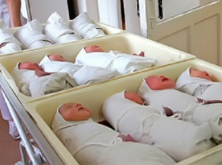 Волгодонск занимает второе место в области по естественному приросту населения