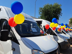 Новый микроавтобус «Газель» получит многодетная семья из Волгодонска