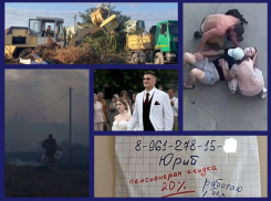 Зажигающая свадьба, пожар на базе отдыха, хитрый компьютерный мастер, падение электрика: итоги недели вместе с «Блокнотом Волгодонска»