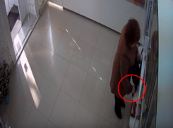 Волгодончанка присвоила себе в аптеке чужой телефон и может стать фигурантом уголовного дела