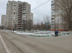 В Волгодонске ликвидировали забор, ограждавший «липовую рощу» для строительства «Пятерочки»