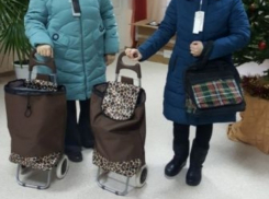 Соцработников Волгодонска одели, обули и выдали сумку-тележку