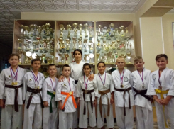 Волгодонские каратисты завоевали более 30 призовых мест на турнире Федерации боевых искусств 