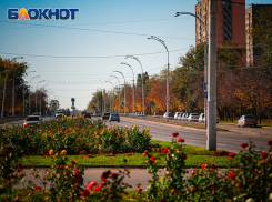 Волгодонск закрепился в числе городов с благоприятной средой