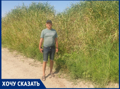 «Здесь даже КамАЗ утонет»: волгодонец показал самую большую лужу в городе глубиной в 3 метра